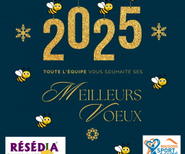 Meilleurs voeux 2025!!