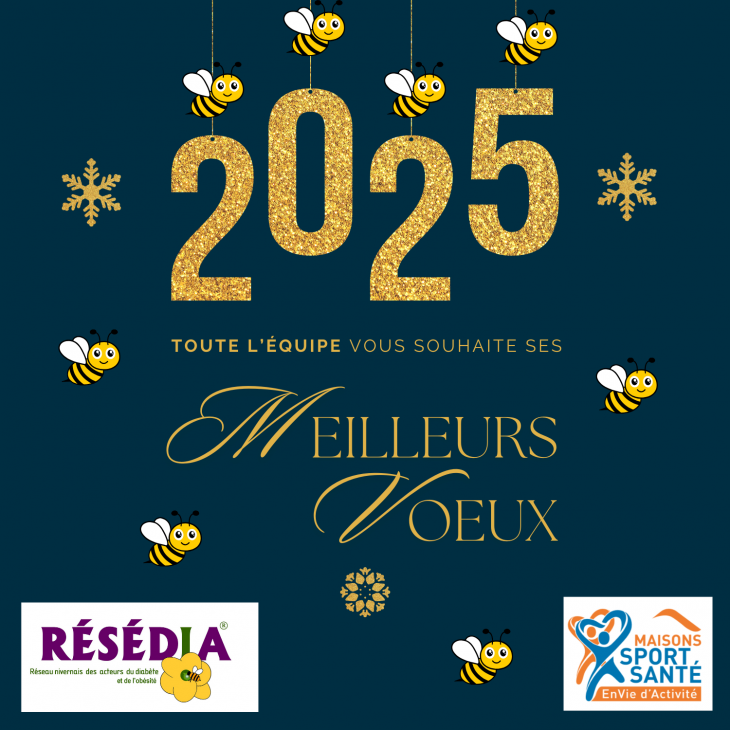 Meilleurs voeux 2025!!