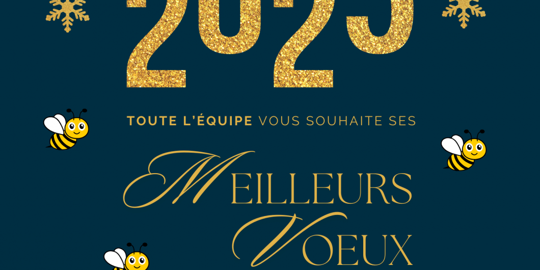 Meilleurs voeux 2025!!
